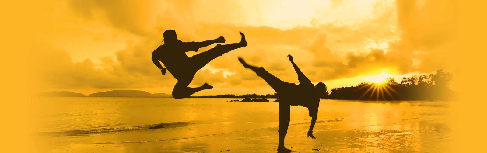 Capoeira for kids and adults